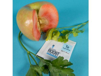 Integra Boost Terpene Essentials Terpinolen 62%