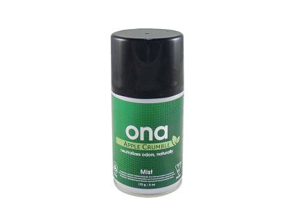 Ona mist apple crumble