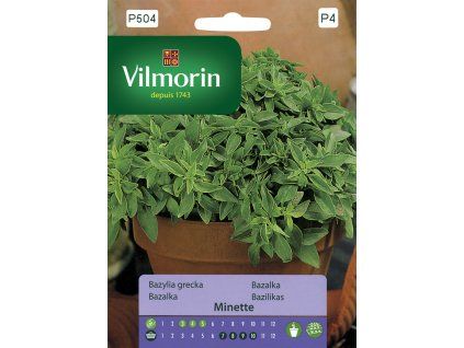 3207 1 bazalka minette vilmorin premium 2 g