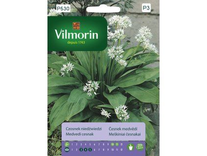 3219 1 cesnek medvedi vilmorin premium 0 4 g