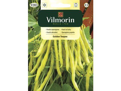 3135 1 fazol tyckovy na lusky goldelfe vilmorin classic 10 g