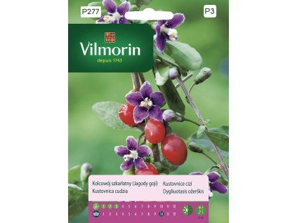 3162 1 kustovnice cizi boruvky goji vlmorin premium 0 1 g