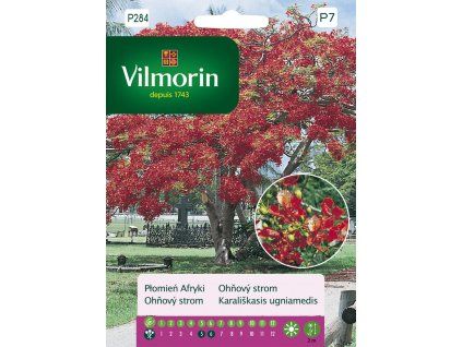3165 1 ohnovy strom vilmorin premium 4 g