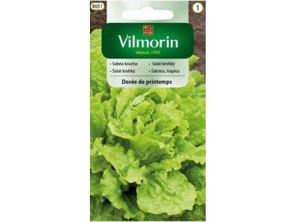 3108 1 salat krehky doree de printemps vilmorin classic 1 g