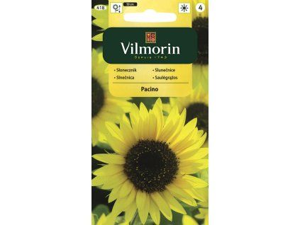 2820 1 slunecnice pacino vilmorin classic 0 5 g
