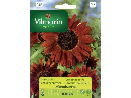 3174 1 slunecnice rocni abendsonne vilmorin premium 0 5 g