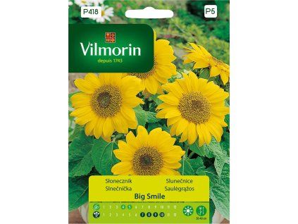 3177 1 slunecnice rocni big smile vilmorin premium 0 5 g
