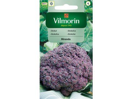 Vilmorin Brokolice Miranda fialova