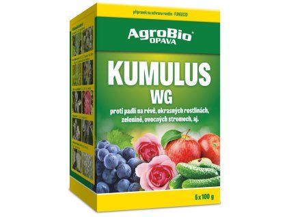 KUMULUS WG 5x100g