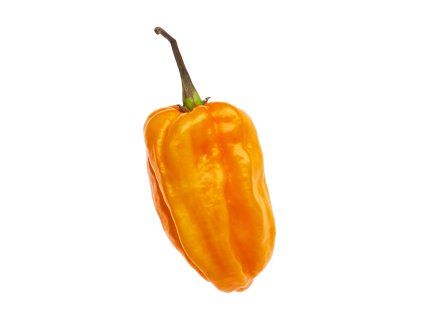 habanero sweet yellow