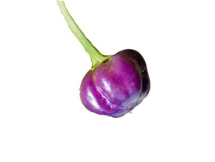 4648 1 chilli purple pumpkin semena 10 ks