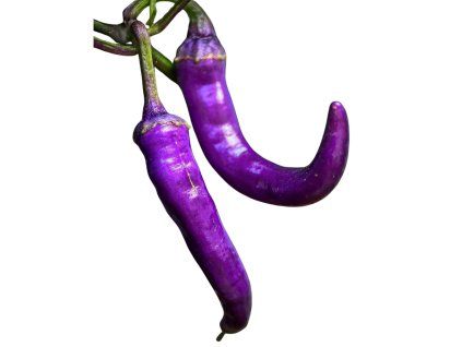 buena mullata chilli