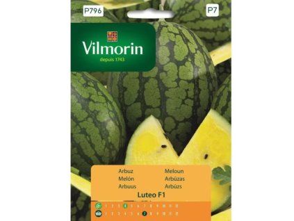 meloun luteo vilmorin premium