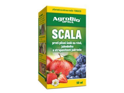Scala - 50 ml