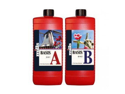 mills regular basis ab