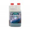 Rhizotonic Canna