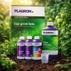 alga top grow box plagron