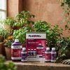 plagron top grow box terra 2