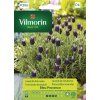 3168 1 levandule hlavkovita bleu provence vilmorin premium 0 3 g