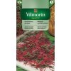 2913 1 mangold na klicky vilmorin classic 10 g