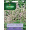 3228 1 salvej muskatova vilmorin premium 1 g