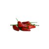 tabasco