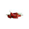 1059 1 chilli tabasco semena 10 ks