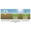 BARENBRUG SHADOW & SUN 5 kg