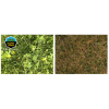 Barenbrug HAPPY LAWN 500 g