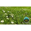 Barenbrug HAPPY LAWN 500 g