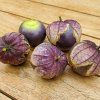 tomatillo purple 2
