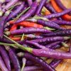 buena mullata chilli 4
