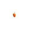 habanero orange