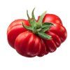 Costoluto Fiorentino tomatoe
