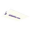 sunpro sunboard 2 0 120w 2 5 umol 2