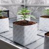 Green House Feeding Autoflower Starter Kit 5