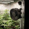 ventilator 8