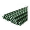 d61f505a